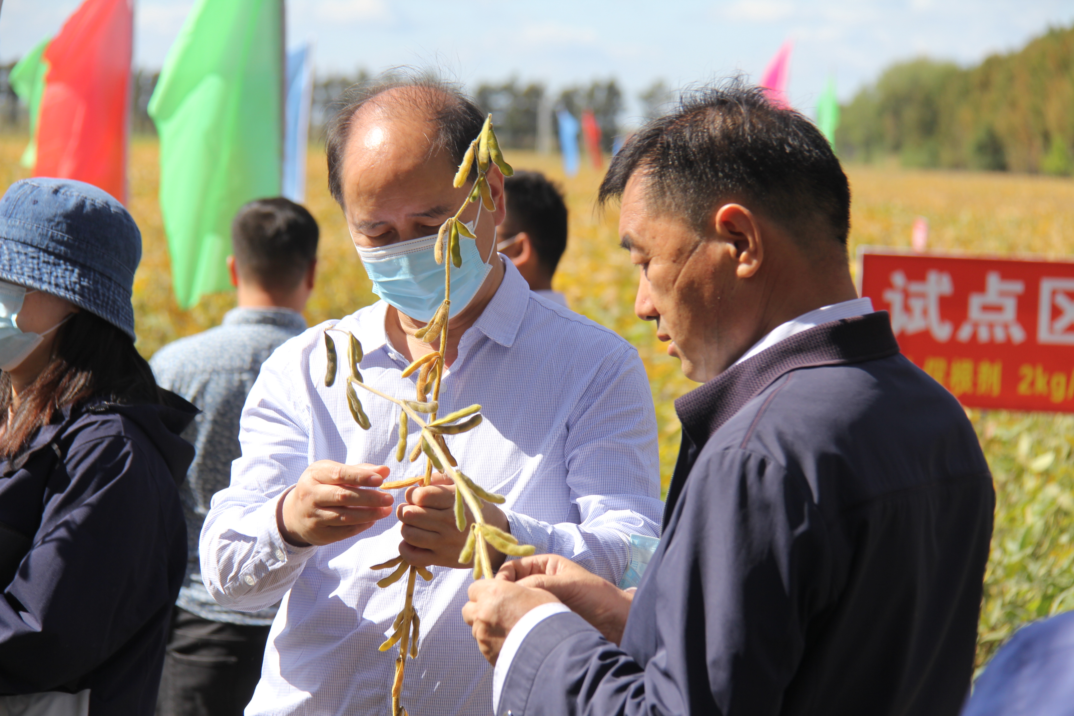 <b>农业农村部耕地质量监测保护中心专家组在黑龙江北大荒垦区推荐引用松土促根</b>