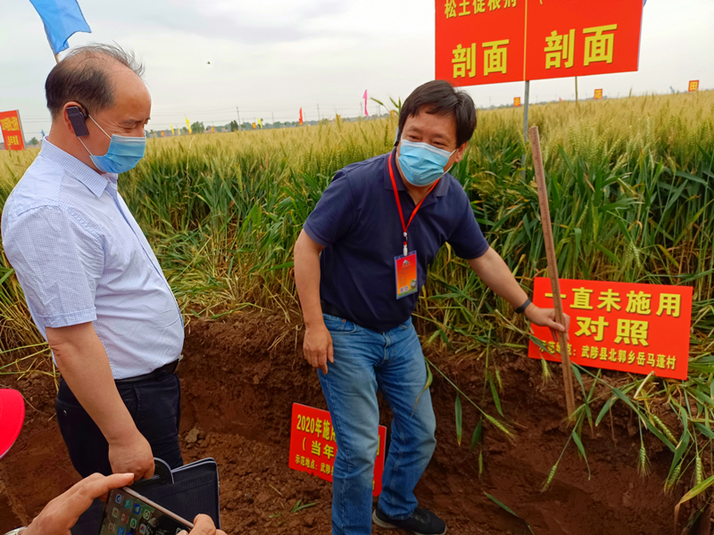 <b>全国农技推广中心高祥照研究员接受采访时表示松土促根剂土壤改良效果令人振</b>