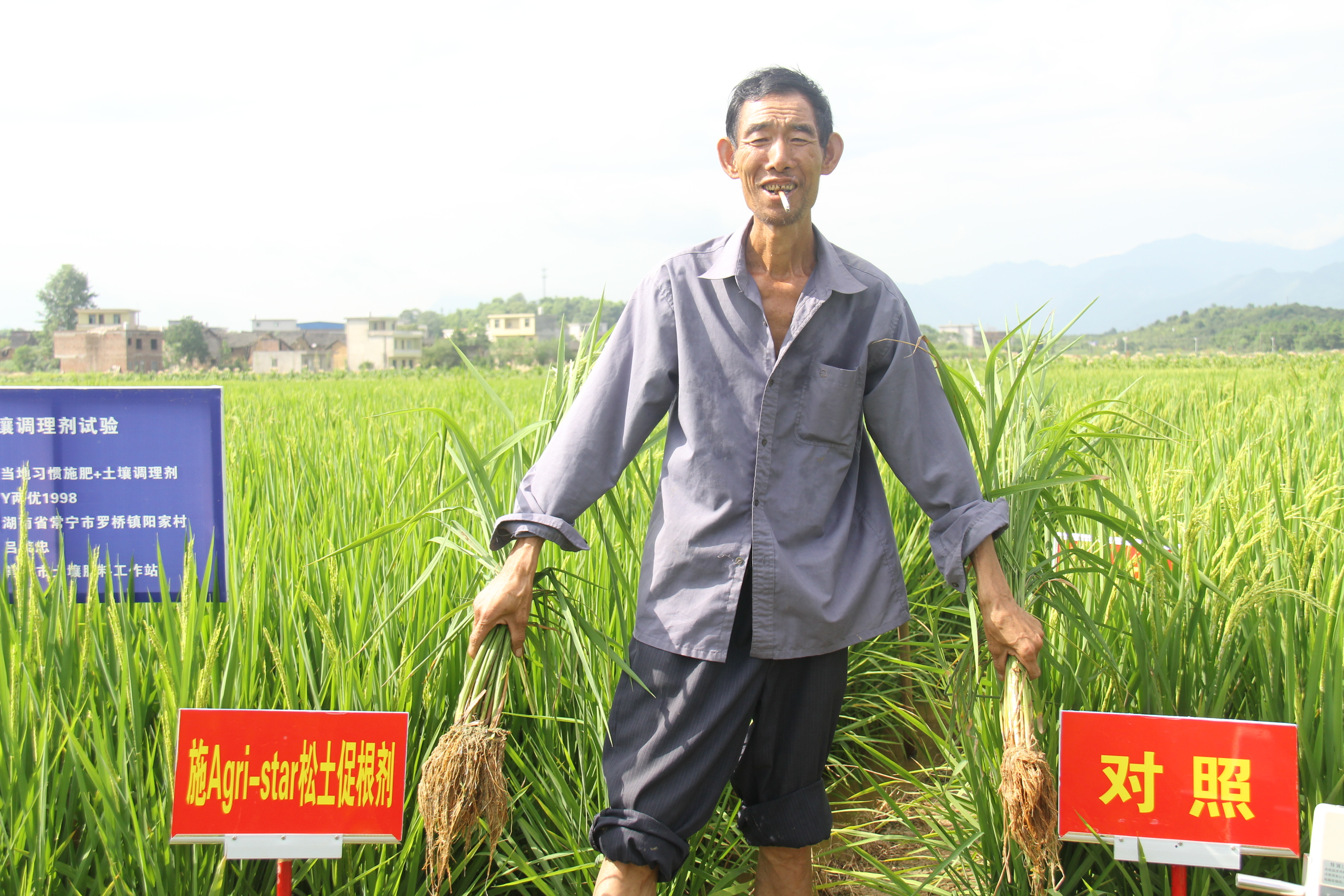 <b>土壤培肥科学施肥才是农业种植提质增产的核心</b>