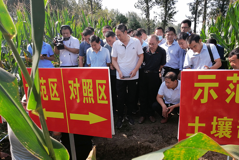 南阳市：土壤改良放异彩 松土促根谱新篇 ----南阳市高标准农田土壤改良耕地质