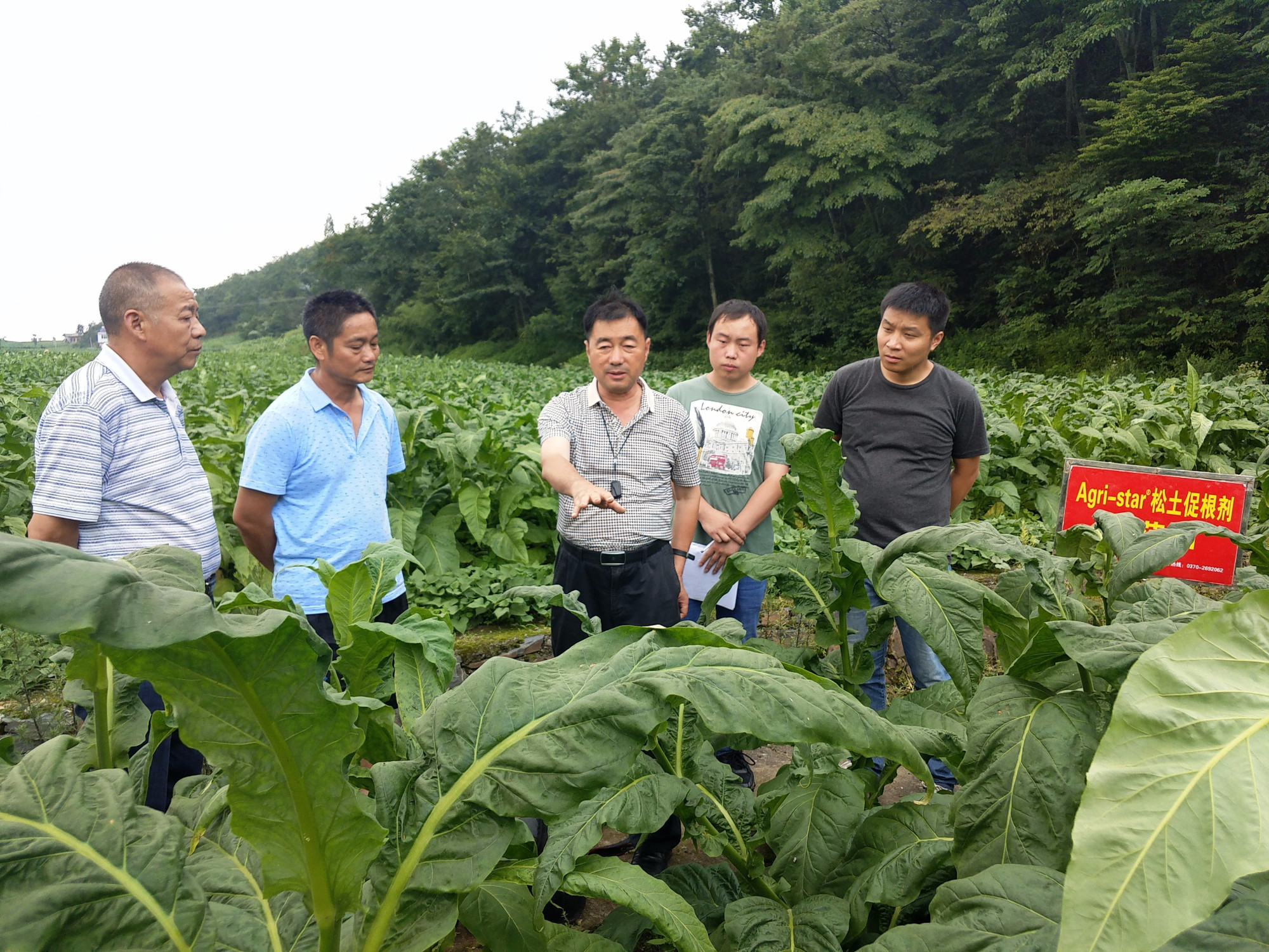 <b>发展绿色农业，土壤改良是关键</b>