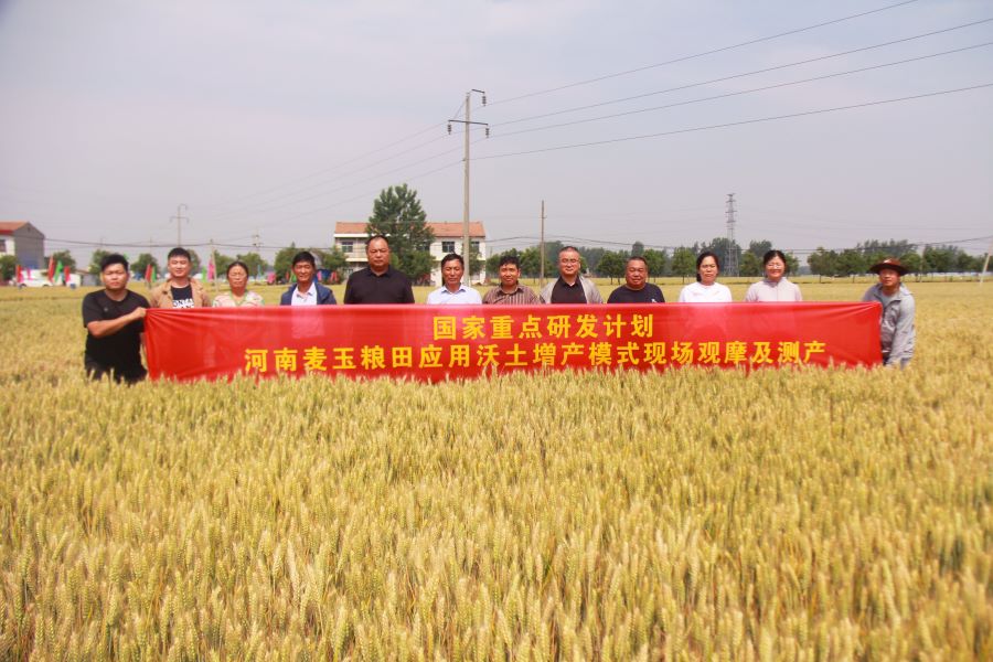 夏邑县会亭镇小麦应用土壤调理剂（松土促根剂）进行耕层评价及测产效果显著